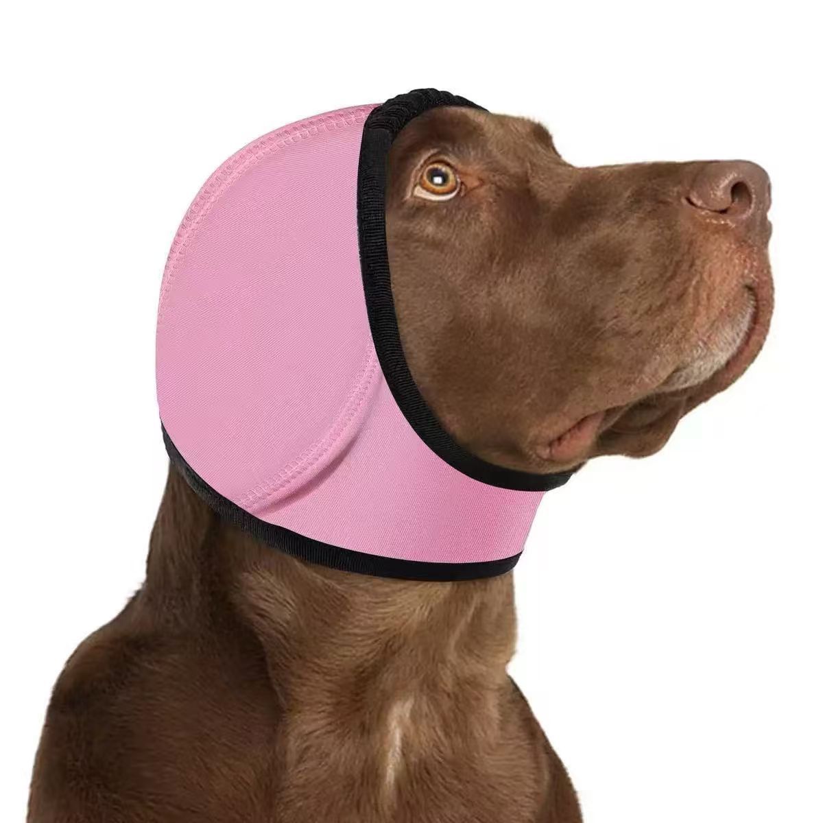 Ear Protection for Pets