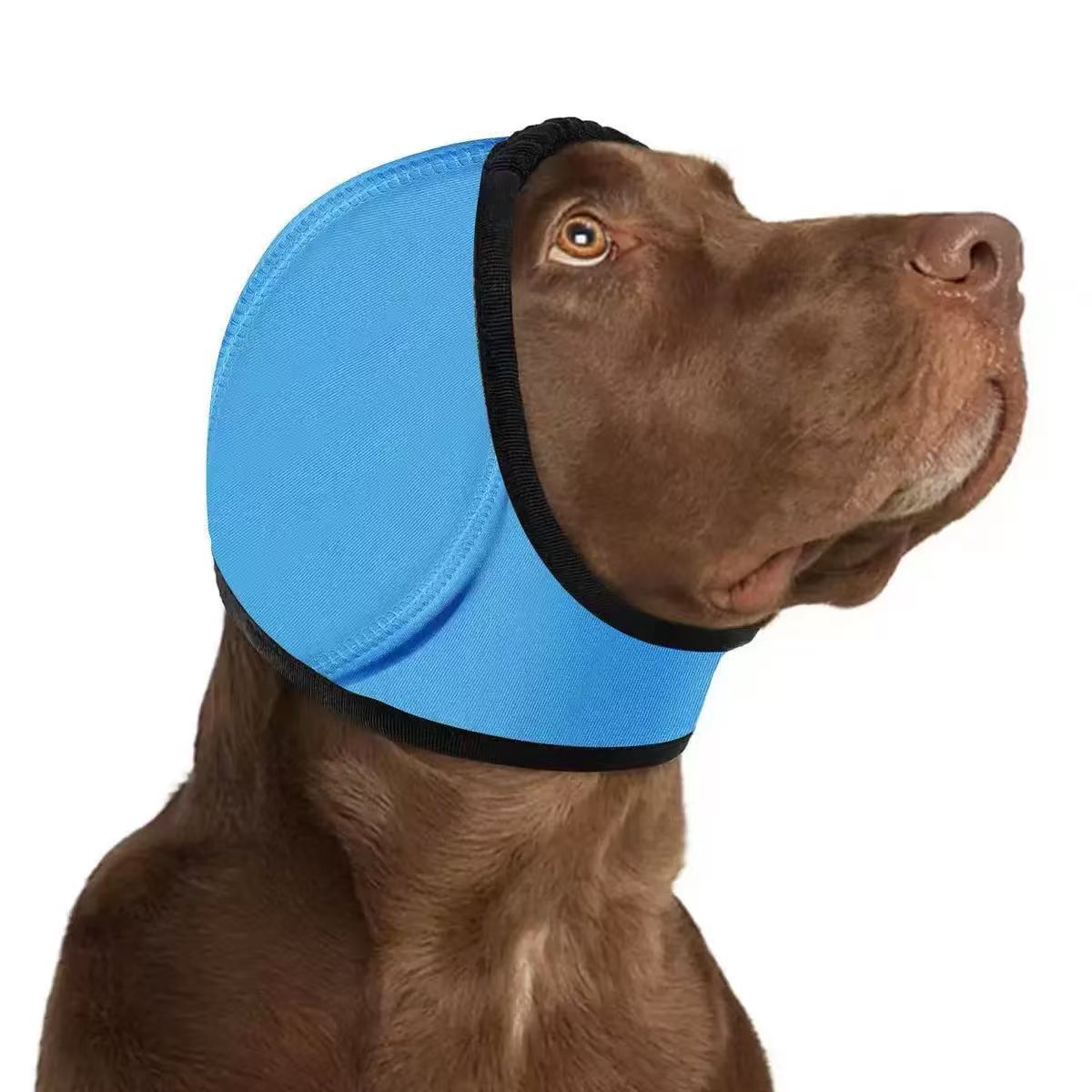 Ear Protection for Pets